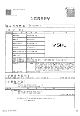 인증현황